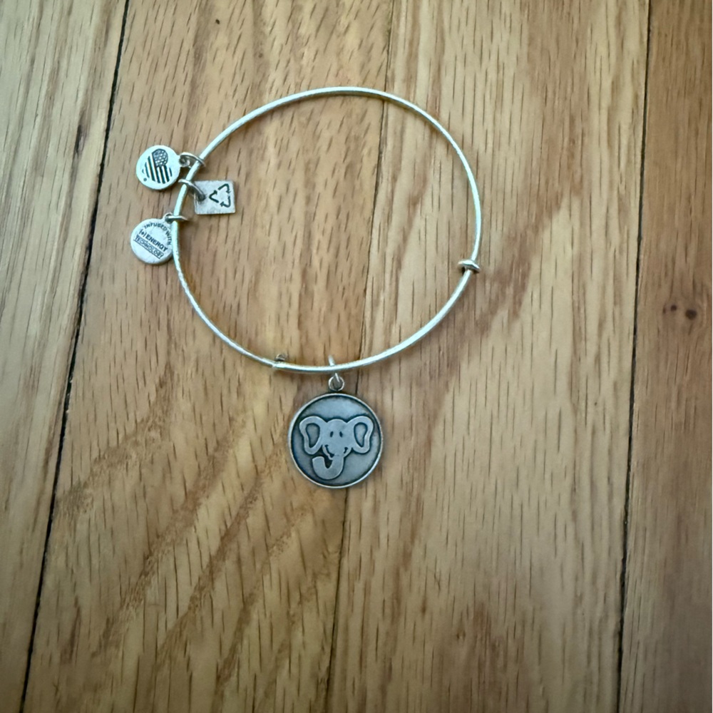 Elephant Charm Alex and ani